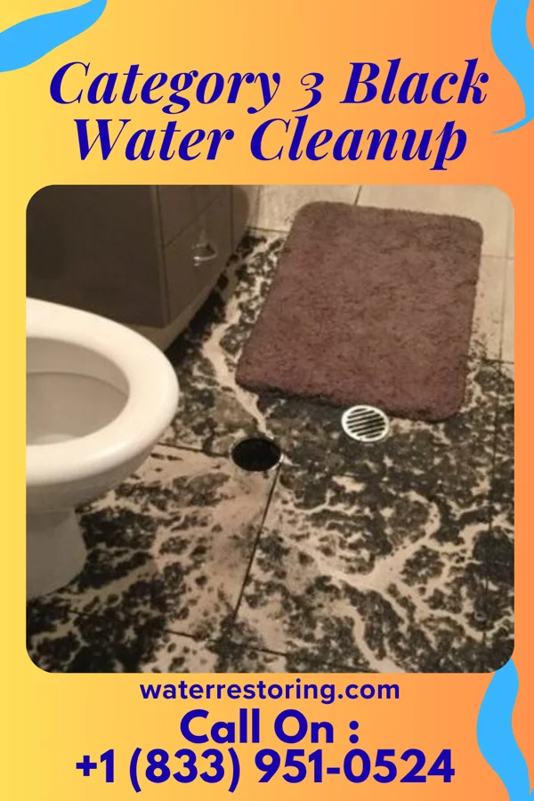 Category 3 Black Water Cleanup in Bolivar, WV