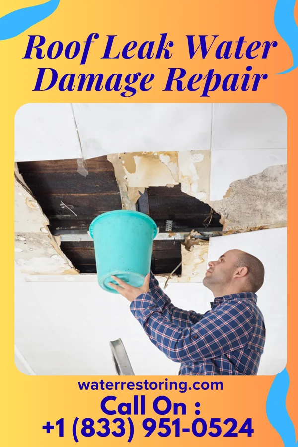 Roof Leak Water Damage Repair in Bolivar, WV