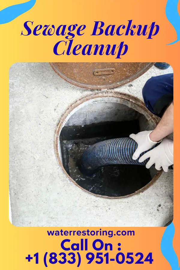 Sewage Backup Cleanup in Bolivar, WV
