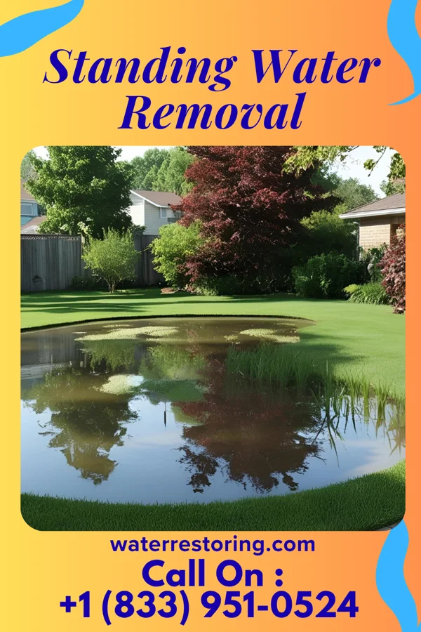 Standing Water Removal in Bolivar, WV
